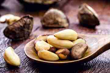 Haematococcus Pluvialis